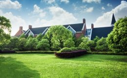 Plagron dvokomponentna gnojila