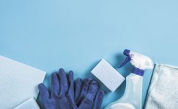 Industrijski sesalec